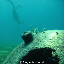 Woman snorkeling between concrete structures that serve a... by Benjamin Liechti 
